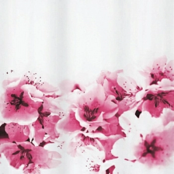 Полноразмерное изображение