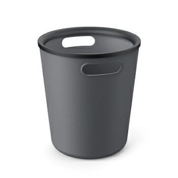 Полноразмерное изображение Полноразмерное изображение